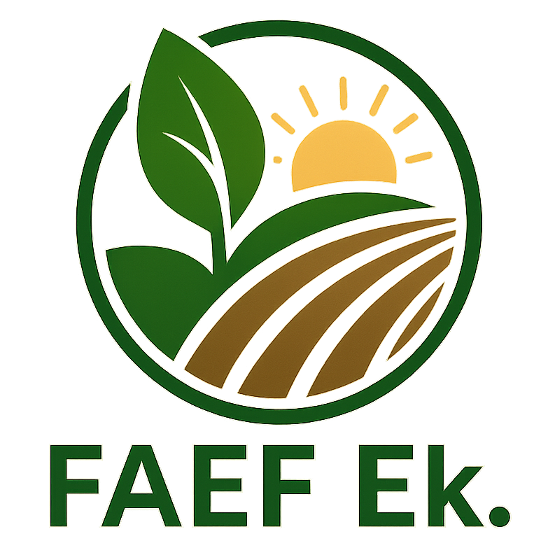 FAEF - Framtidsallians Ekonomisk Förening
